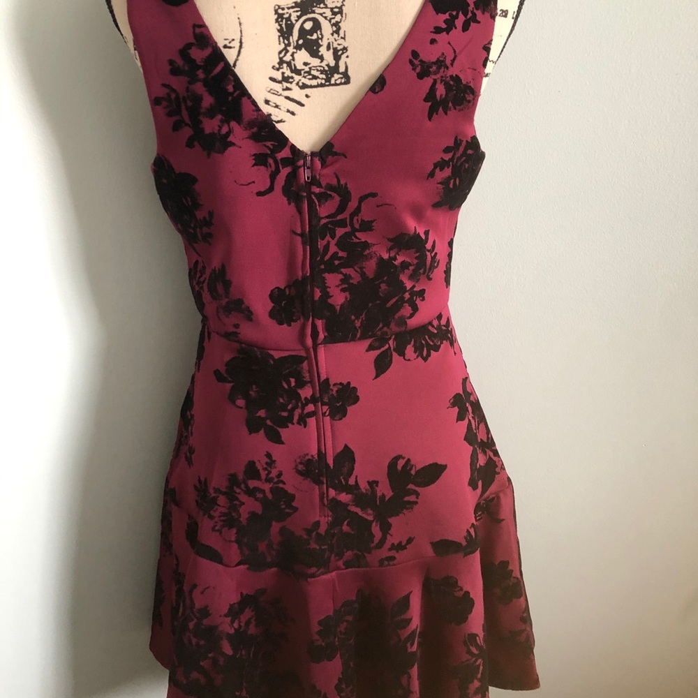 Francesca’s Dress - Picture 4 of 5